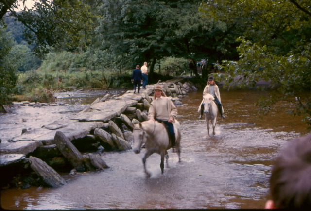 with a ford for horses