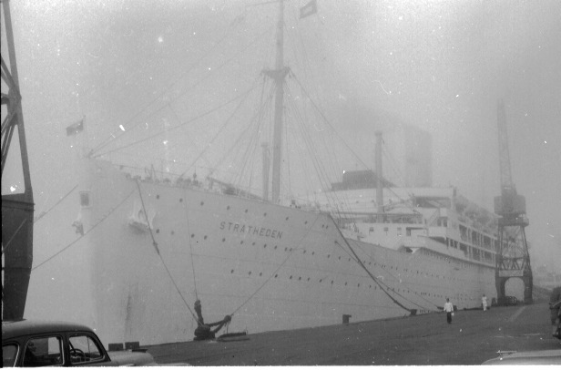 Stratheden in fog